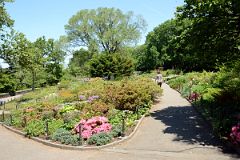 New York Cloisters 75 Fort Tyron Park Flower Garden.jpg
